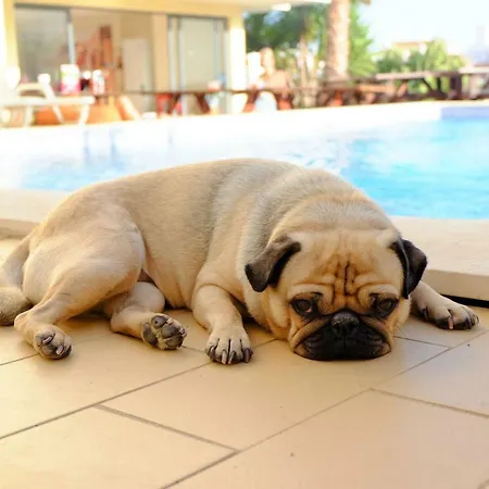 Hostel Algarve Surf -